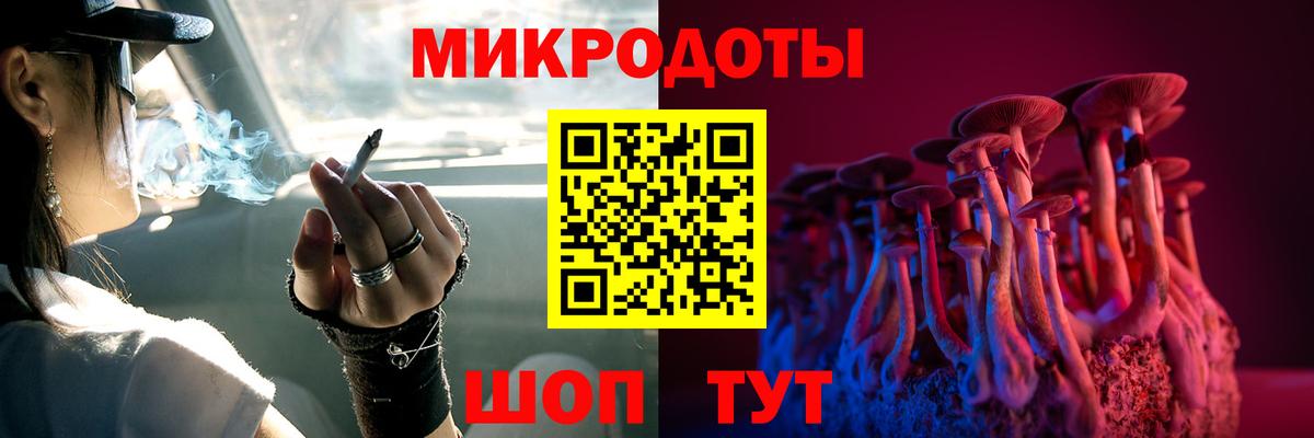 Шадринск  Псилоцибиновые грибы Cubensis  Вход с VPN 